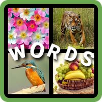 4 pics 1 word 2022-puzzle game
