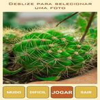 Quebra-Cabeça de Cactos