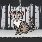Cute Cat Rescue From Cage