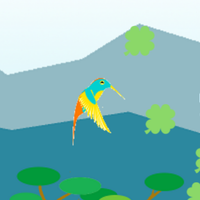 Hummingbird the Game