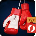 Box Fighter VR