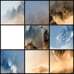 Create Your Own Puzzle Jigsaw