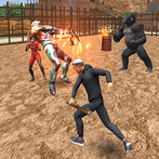 Street Fighting Hero Kung Fu