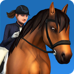 Horse Show Jumping Premium