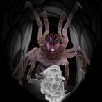 The Hidden Cavern