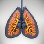 Lung Sounds Quiz