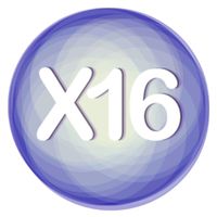 X16