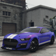 Shelby GT500 Ford Challenge