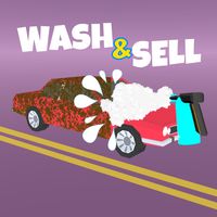 Wash and Sell