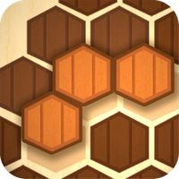 Wooden Hexa Puzzle