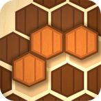 Wooden Hexa Puzzle