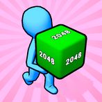 Merge The Blocks 2048