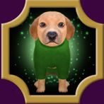 Dogwarts