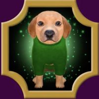 Dogwarts