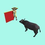 Bull Master