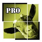 Bilder Spaß TruePictures PRO