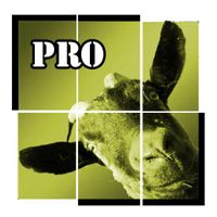 Bilder Spaß TruePictures PRO