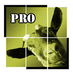 Bilder Spaß TruePictures PRO