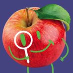 Hannaford Snack Pals Augmented