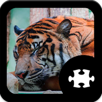 Tiger Jigsaw Puzzle