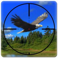 American Wild Hunting