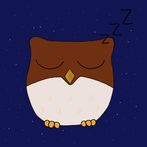 Sleepy Owl