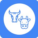 Bulls & Cows