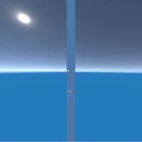 Crazy Flying Bird