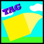 2 Player Tag