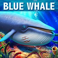 Blue Whale Simulator - Game
