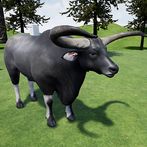 Kouprey Cow Simulator