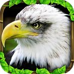 Eagle Simulator™