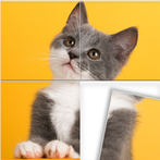 Swappy - Jigsaw Puzzles