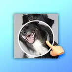 Turn Puzzle