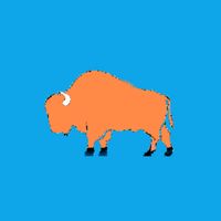 BisLingo: Dictionary Builder