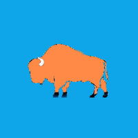 BisLingo: Dictionary Builder