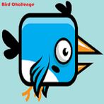 Flopi Bird - Şapşal Kuş