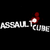AssaultCube Association