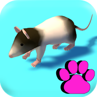 Cat Toy : Games for Cats 3D