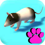 Cat Toy : Games for Cats 3D