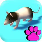 Cat Toy : Games for Cats 3D