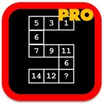 Master Math Puzzles Pro