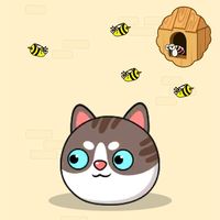 Help Poco