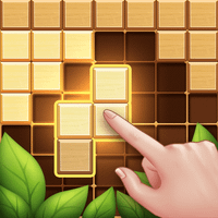 Wood Block Puzzle Game