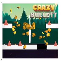 Crazy Bullet