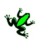 Frog Jump