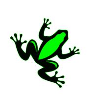 Frog Jump