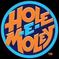 Carbon Fiber HoleEMoley