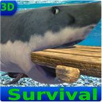 Survival Boat House Building