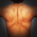 Scratch My Itchy Back